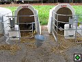 thn_Troubelice 2006 031.jpg